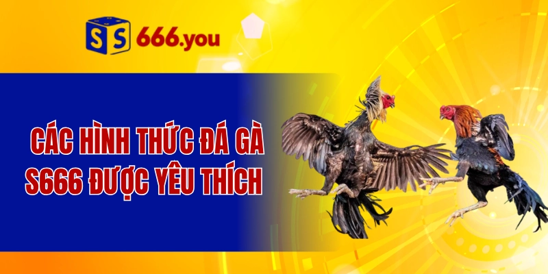 Các hình thức đá gà S666 được yêu thích