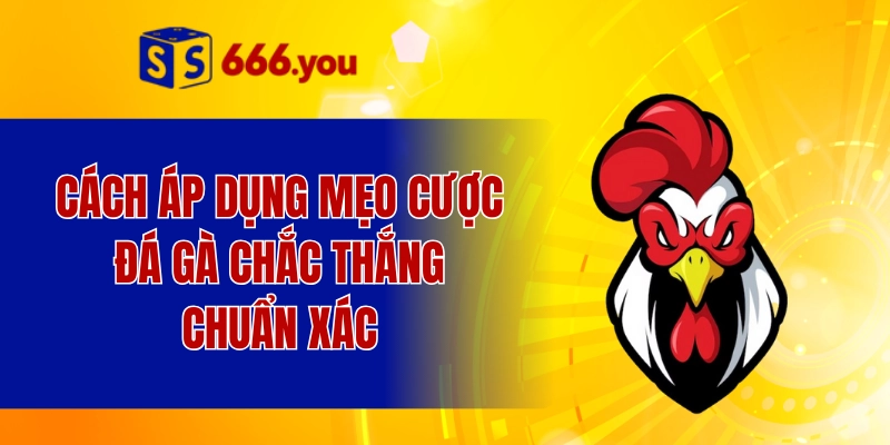 Cách áp dụng mẹo cược đá gà chắc thắng chuẩn xác