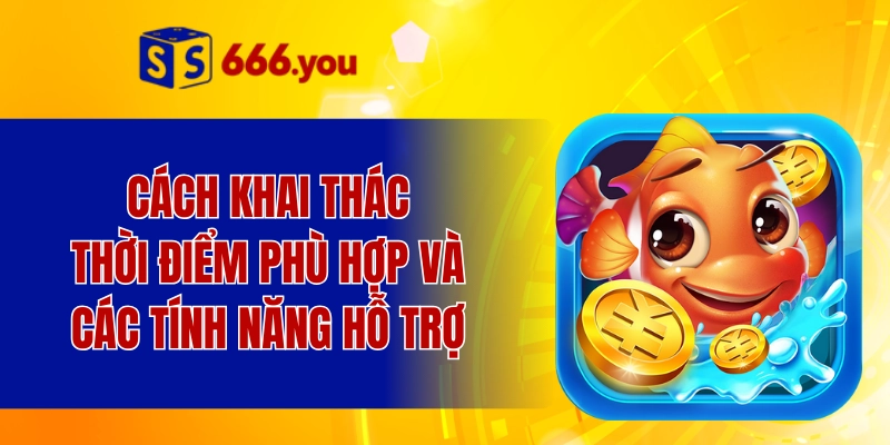 Cách khai thác thời điểm phù hợp và các tính năng hỗ trợ