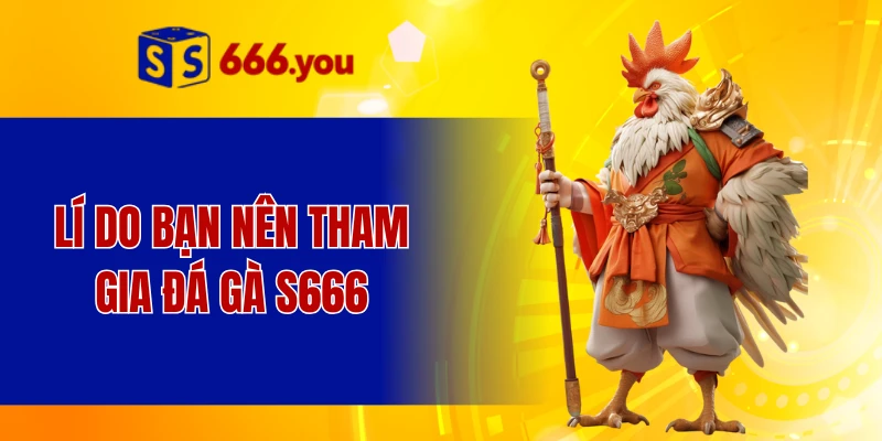 Lí do bạn nên tham gia đá gà S666