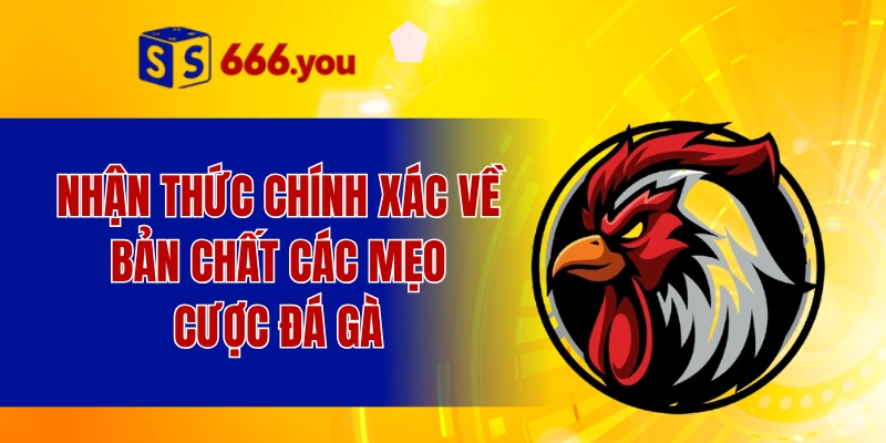Nhận thức chính xác về bản chất các mẹo cược đá gà