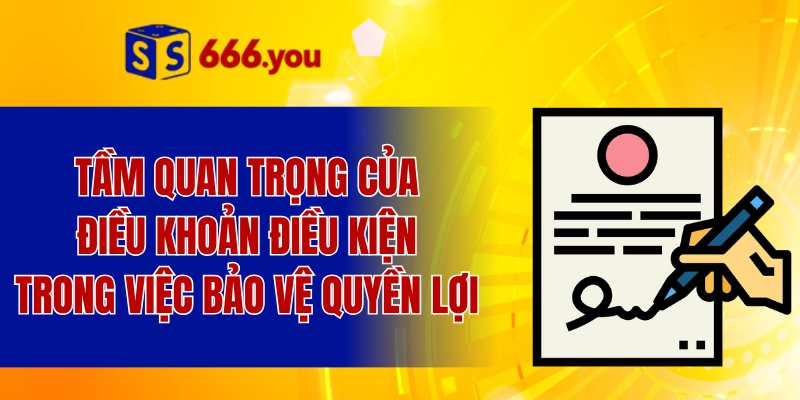 Tầm quan trọng của điều khoản điều kiện trong việc bảo vệ quyền lợi