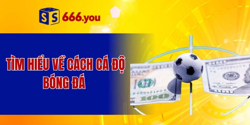 Tìm hiểu về cách cá độ bóng đá 
