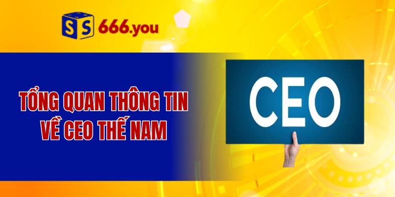 Tổng quan thông tin về CEO Thế Nam