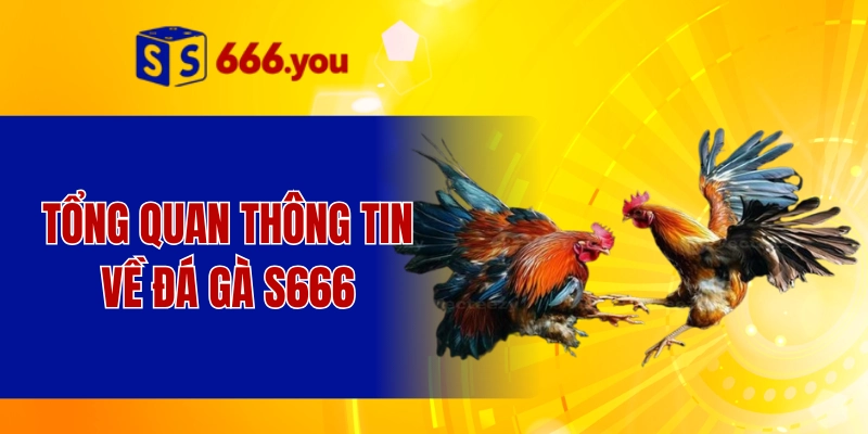 Tổng quan thông tin về đá gà S666